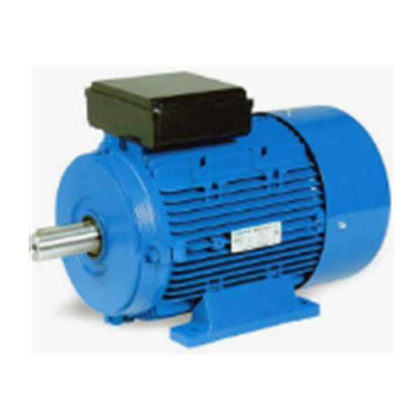 1.1 KW 1.5 HP Single Phase Electric Motor, 1440 Rpm