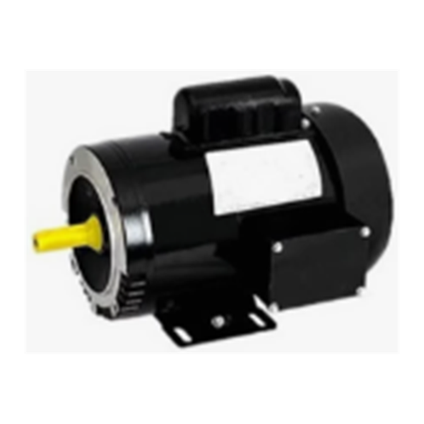 Single Phase Electric Motor 2 HP, 220 V