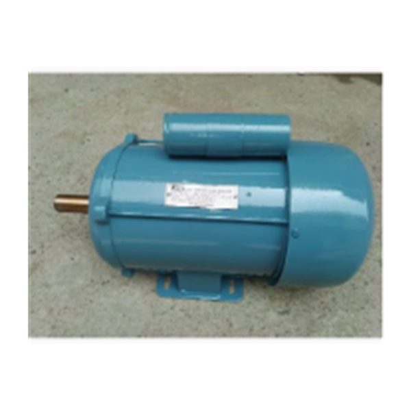 2 HP Single Phase Electric Motor, 1440 Rpm