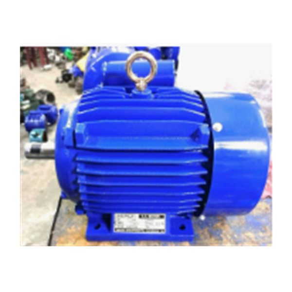 0-5 HP Single Phase Electric Motor, 220 V