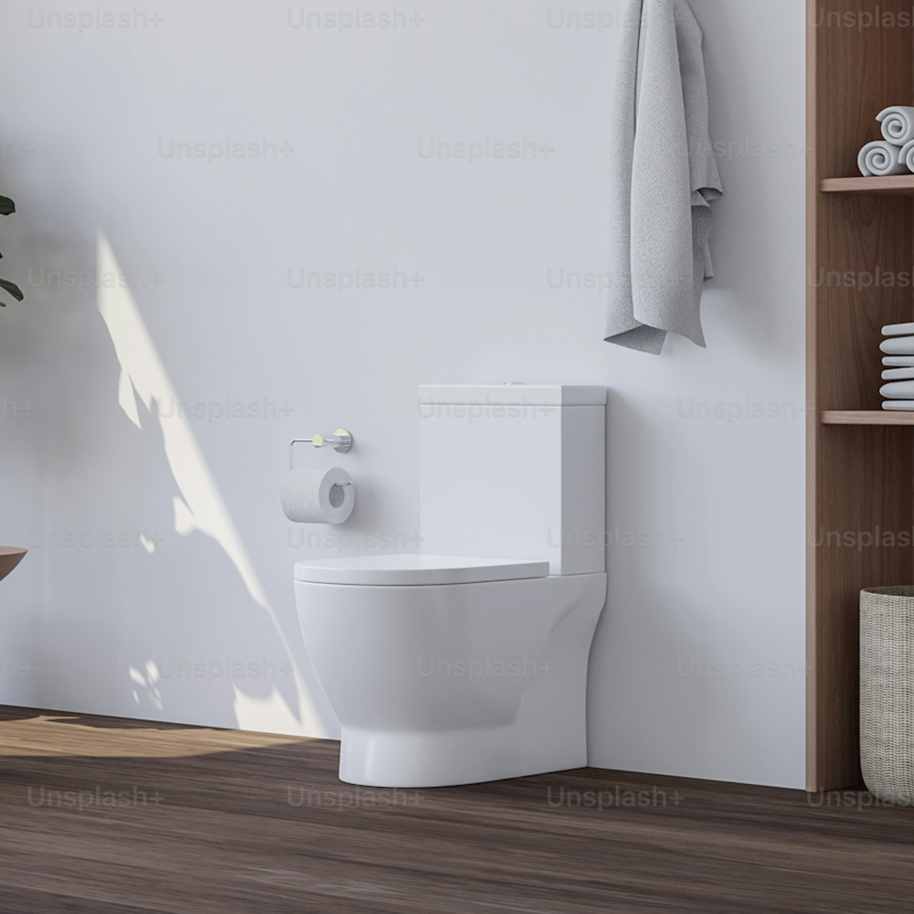 White Ceramic Floor Mounted One Piece Toilet